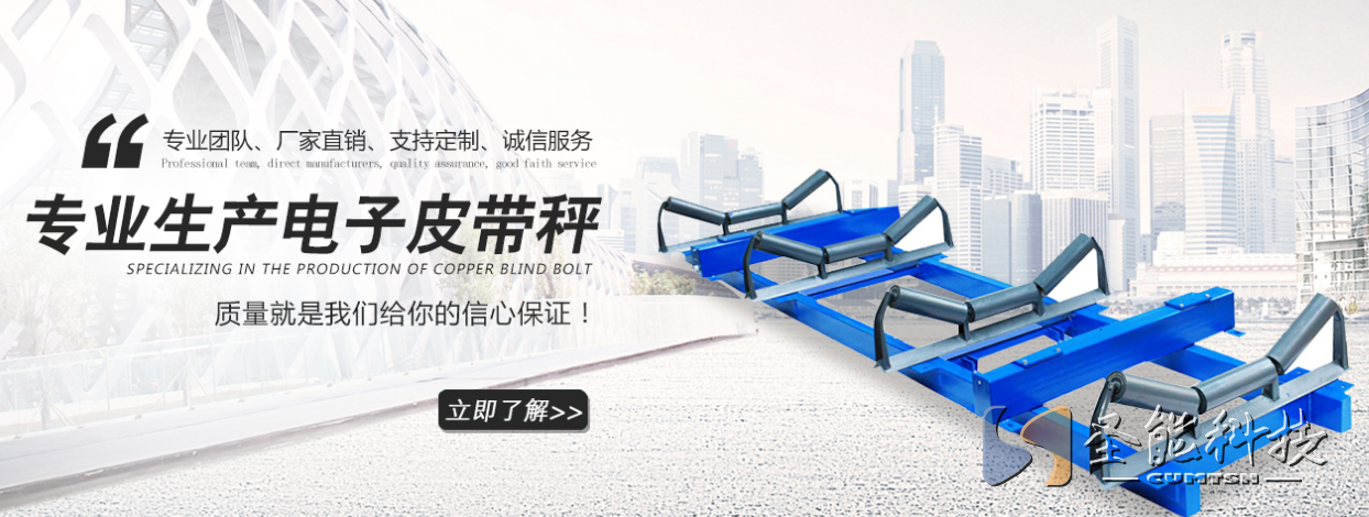 <a href='http://www.fengxiuxia.cn' target='_blank'><u>皮帶秤廠家</u></a>