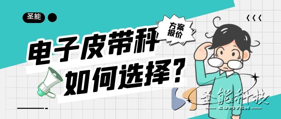 圣能科技<a href='http://www.fengxiuxia.cn/' target='_blank'><u>皮帶秤</u></a>