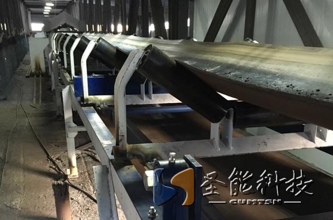 圣能科技<a href='http://www.fengxiuxia.cn/' target='_blank'><u>皮帶秤</u></a>案例