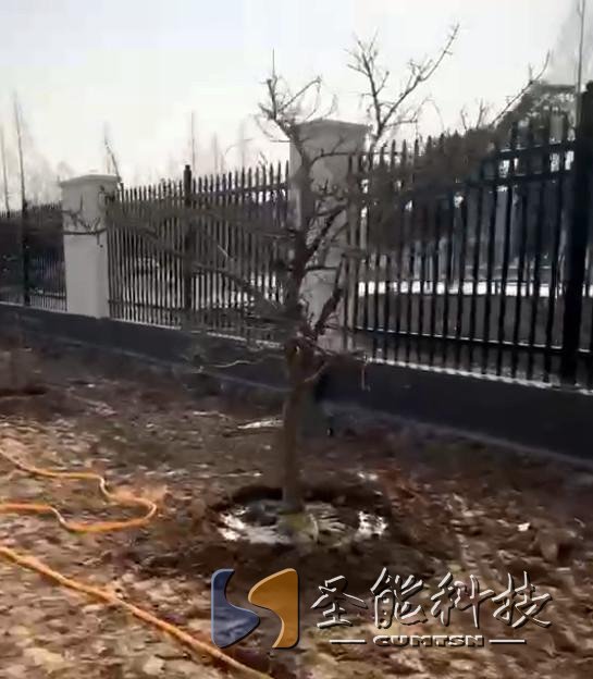 “植”此青綠，添彩圣能靜待花開(kāi)