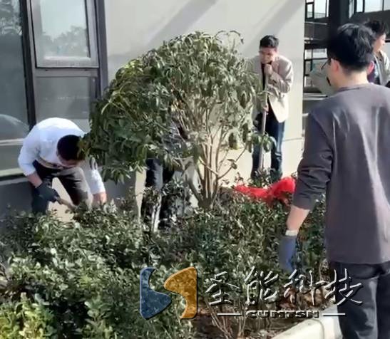 “植”此青綠，添彩圣能靜待花開(kāi)